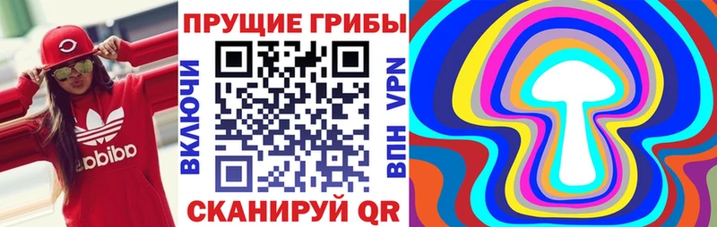 Купить  Пудож  Псилоцибиновые грибы Magic Shrooms 